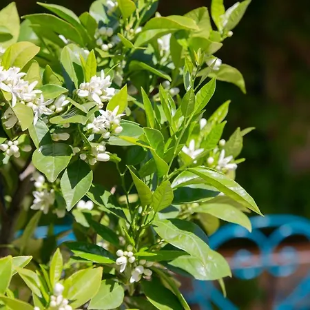 Bed & Breakfast Casa-belle 4*