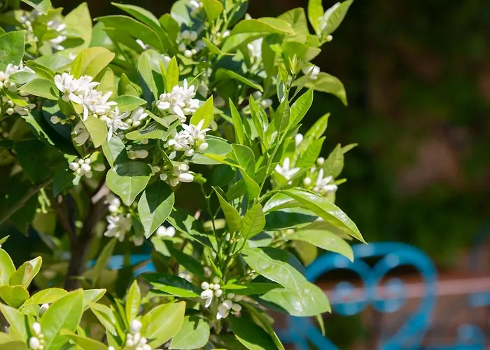 Bed & Breakfast Casa-belle 4*